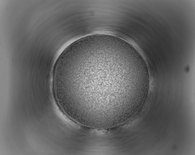 X0000112360955200908201459