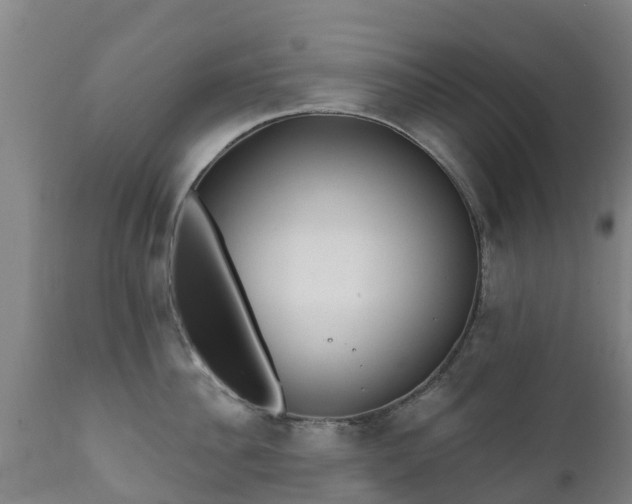 X0000112360956200908201459