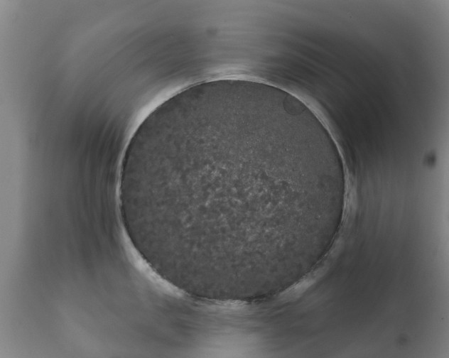 X0000112360957200908201459