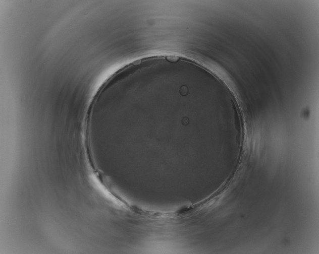 X0000112360958200908201459