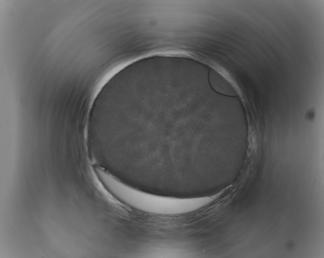 X0000112360959200908201500