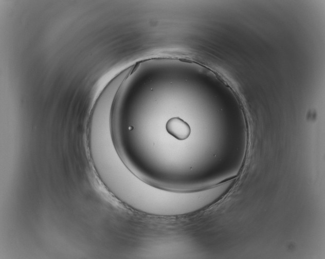 X0000112360960200908201500