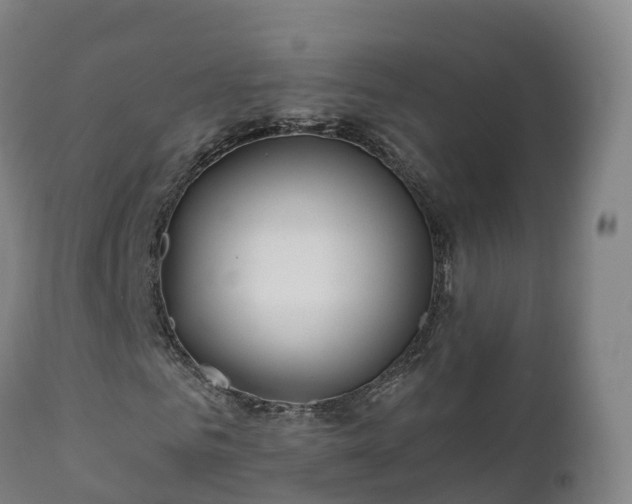 X0000112360961200908201459