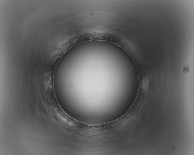 X0000112360964200908201459