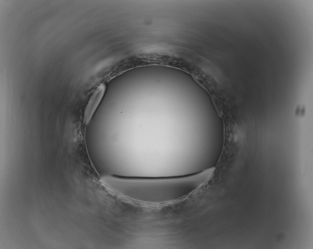 X0000112360965200908201459