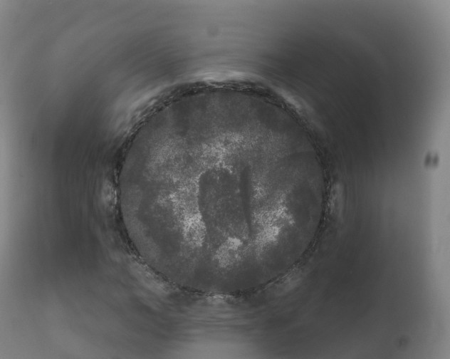 X0000112360966200908201459