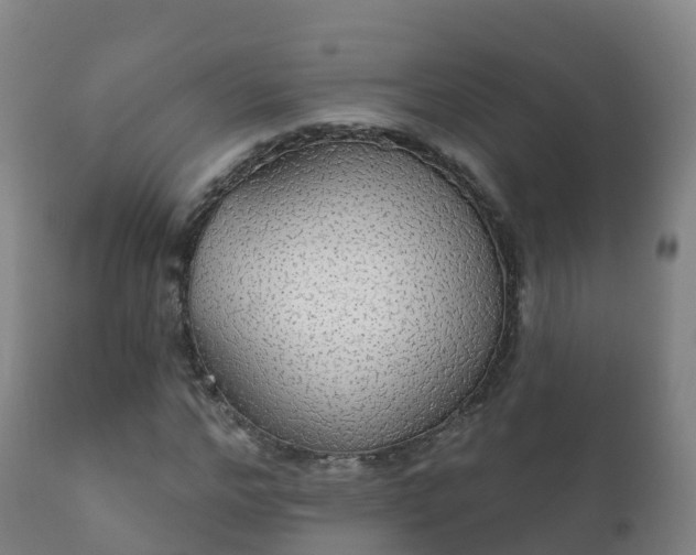 X0000112360968200908201459