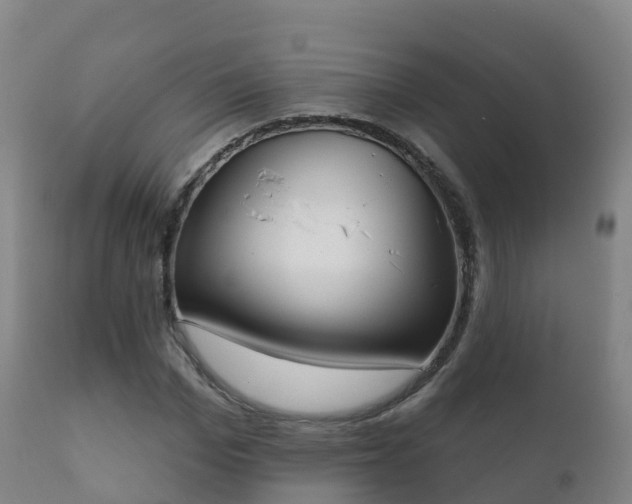 X0000112360969200908201459