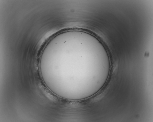 X0000112360974200908201459