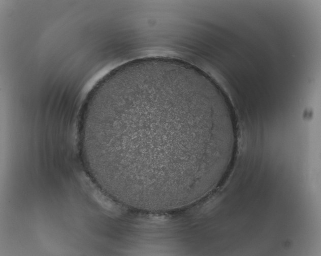 X0000112360975200908201459