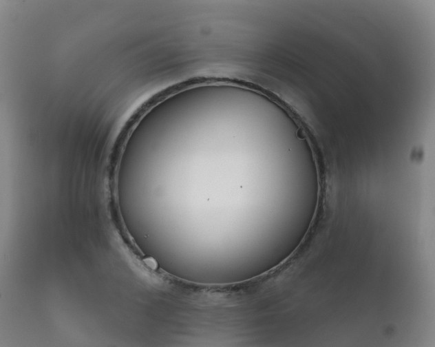 X0000112360976200908201459