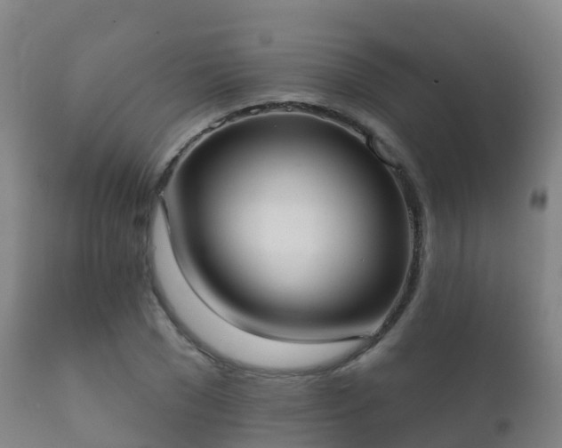 X0000112360977200908201459