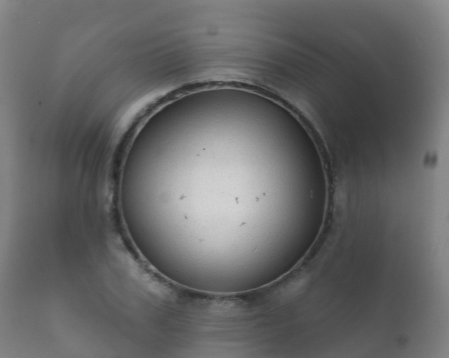 X0000112360979200908201459