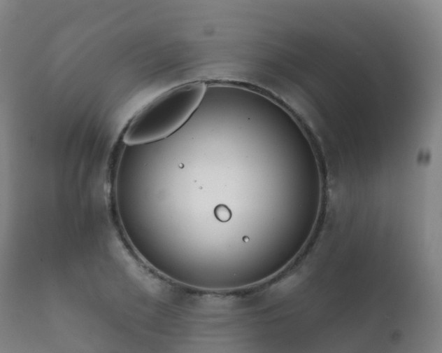 X0000112360981200908201459