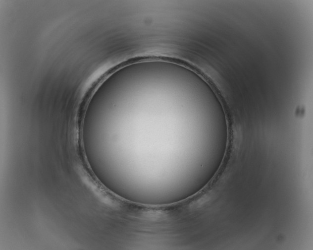 X0000112360982200908201459