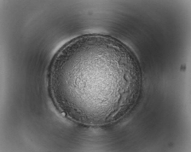 X0000112360983200908201459