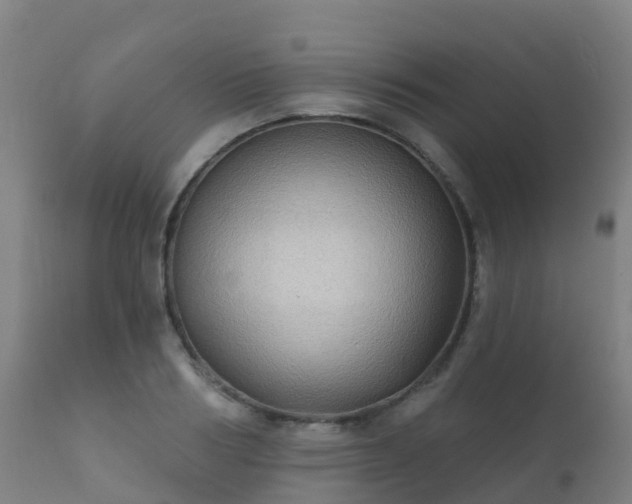 X0000112360986200908201459