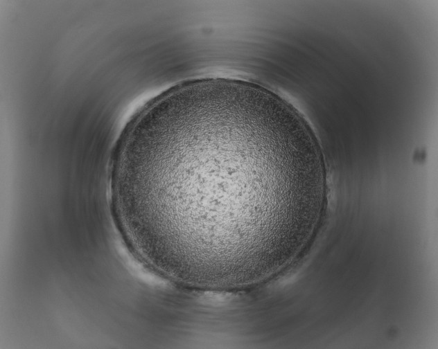 X0000112360987200908201459