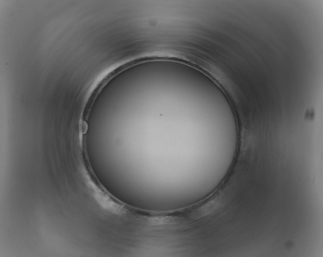 X0000112360988200908201458