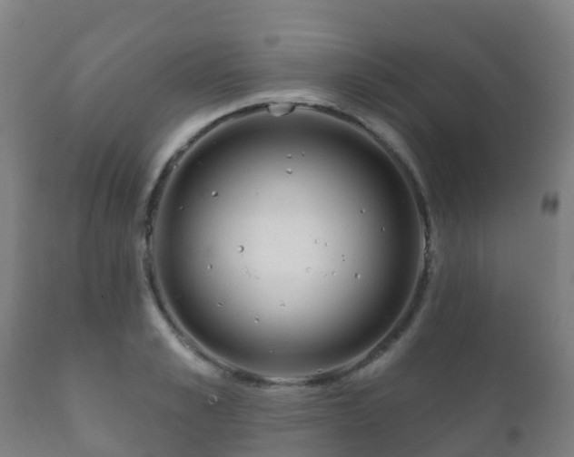 X0000112360989200908201458