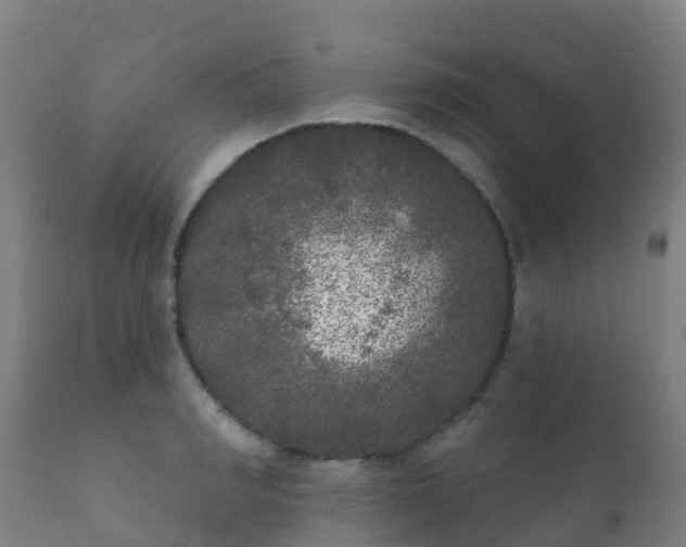 X0000112360990200908201458