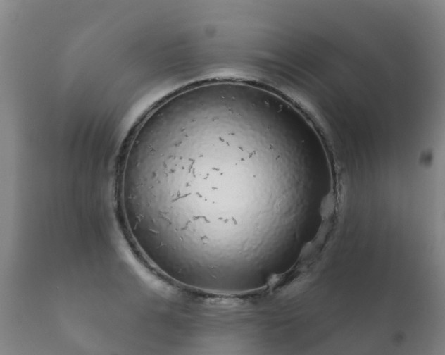 X0000112360991200908201458