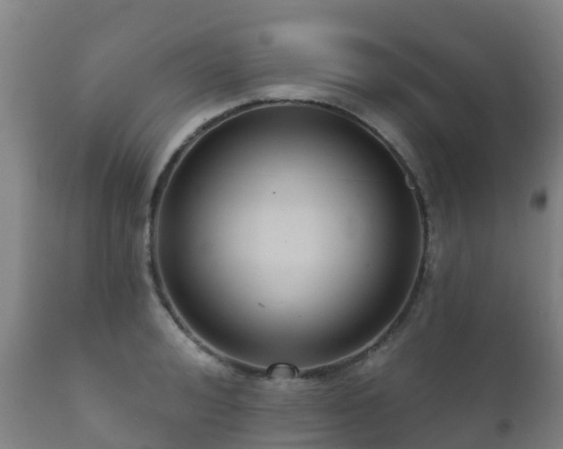 X0000112360992200908201458