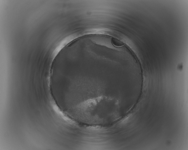 X0000112360994200908201458