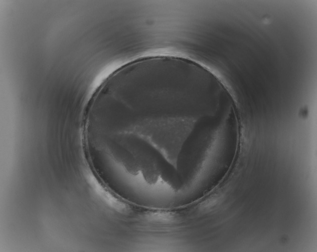 X0000112360998200908201458