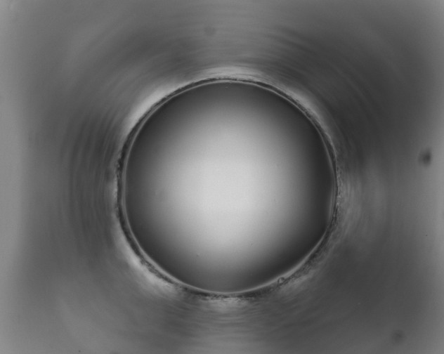 X0000112360999200908201458