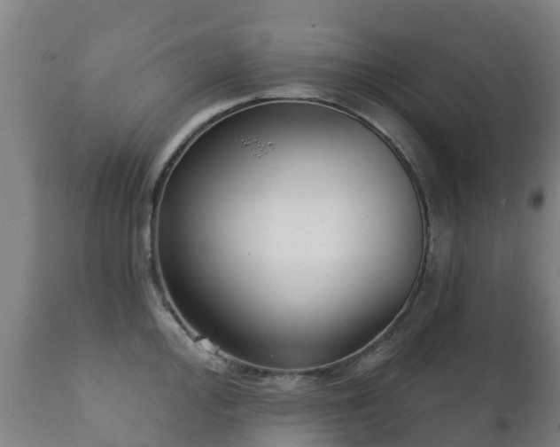 X0000112361000200908201458