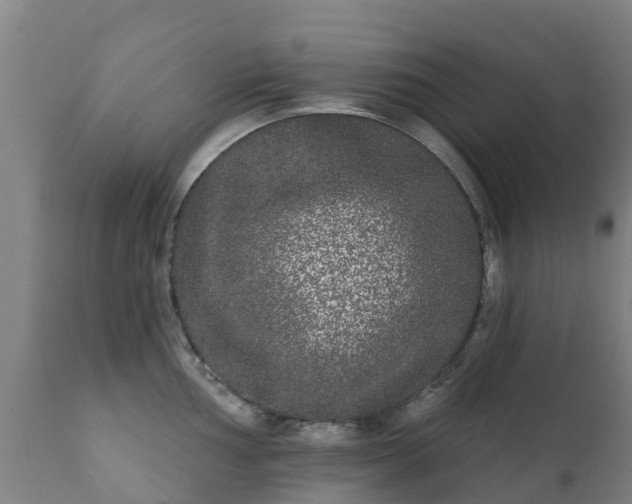 X0000112361002200908201458