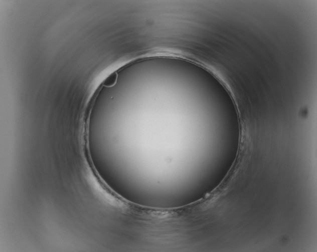 X0000112361003200908201458