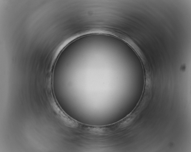 X0000112361004200908201458