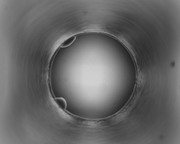 X0000112361005200908201458