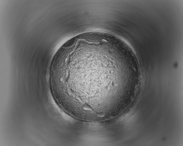 X0000112361007200908201458