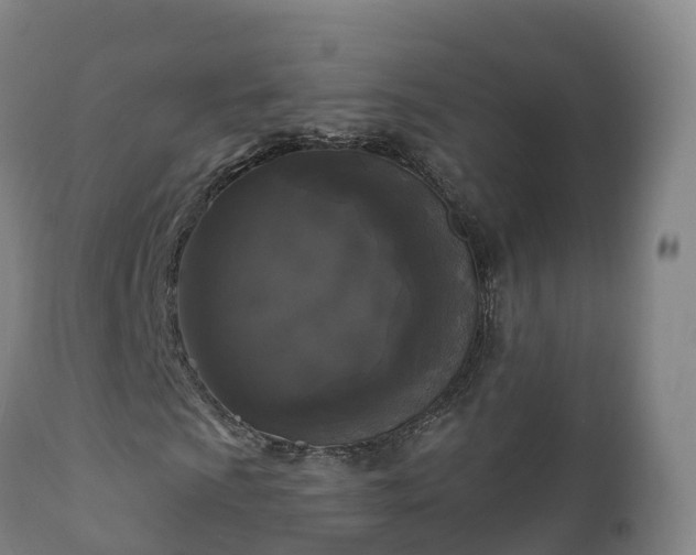 X0000112361009200908201458