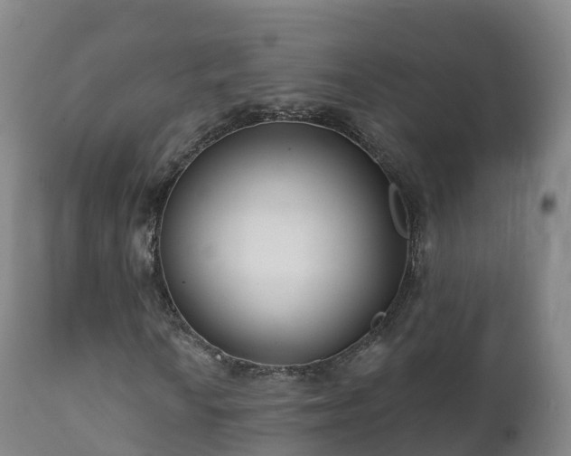 X0000112361010200908201458