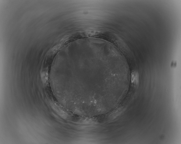 X0000112361011200908201458