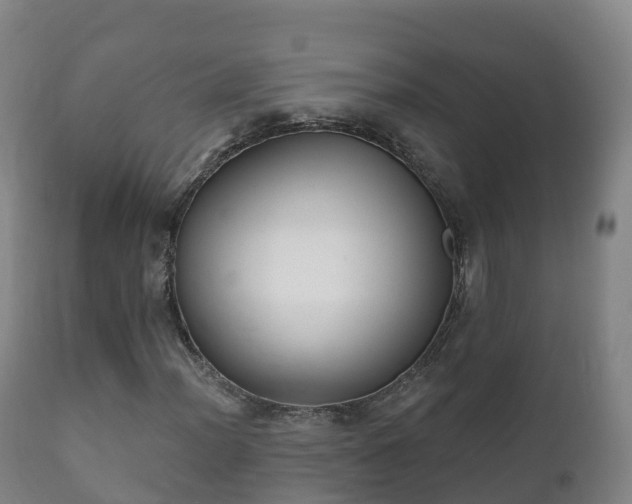 X0000112361012200908201458