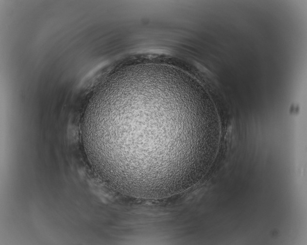 X0000112361014200908201458