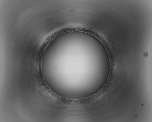 X0000112361016200908201458