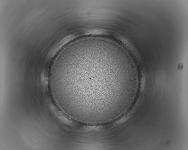 X0000112361017200908201458