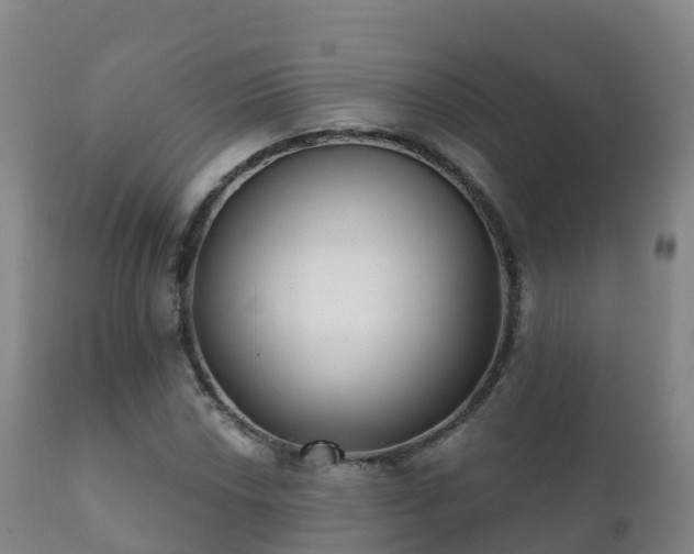 X0000112361018200908201458