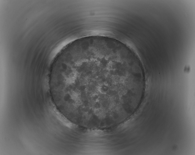 X0000112361019200908201458