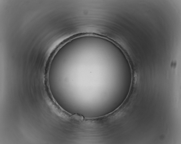 X0000112361020200908201458