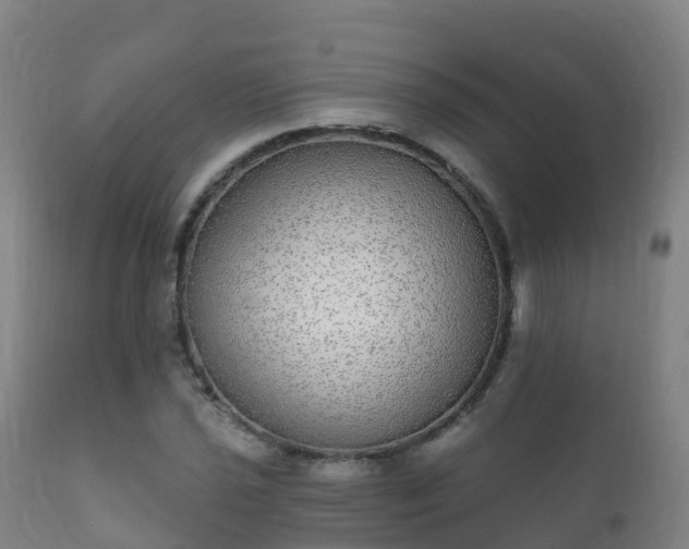 X0000112361021200908201458