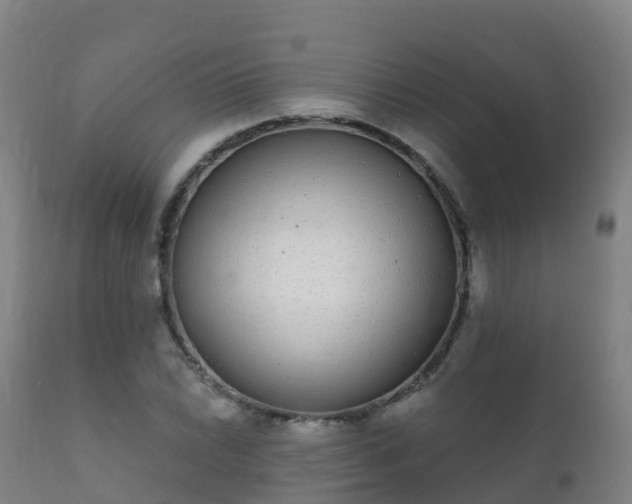 X0000112361022200908201458