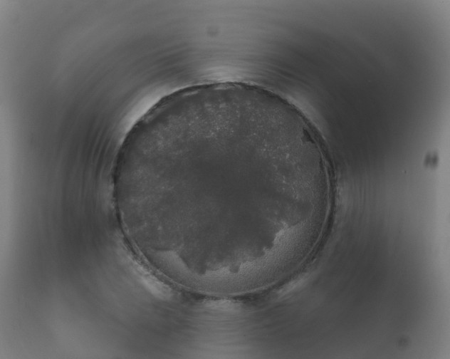 X0000112361023200908201458