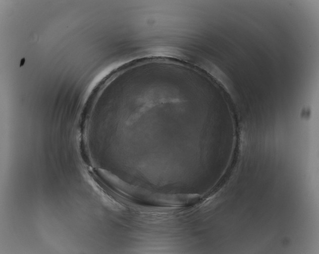 X0000112361024200908201458